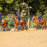 annual-sports-day-5