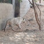 Visit to Pradyuman Park Zoo (9)